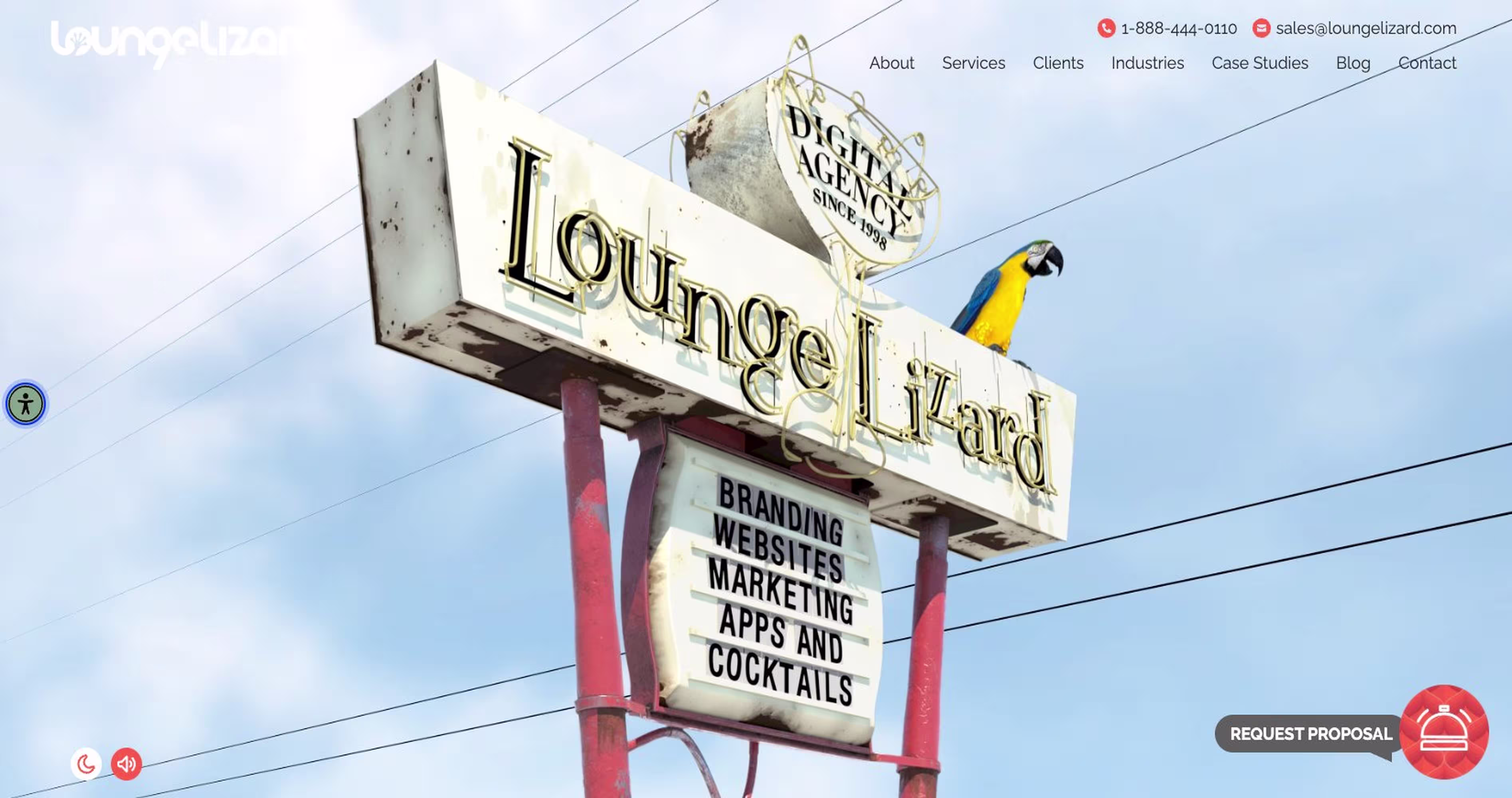 Lounge Lizard - Award-Winning Healthcare Website Design & Digital Marketing Agency Since 1998
