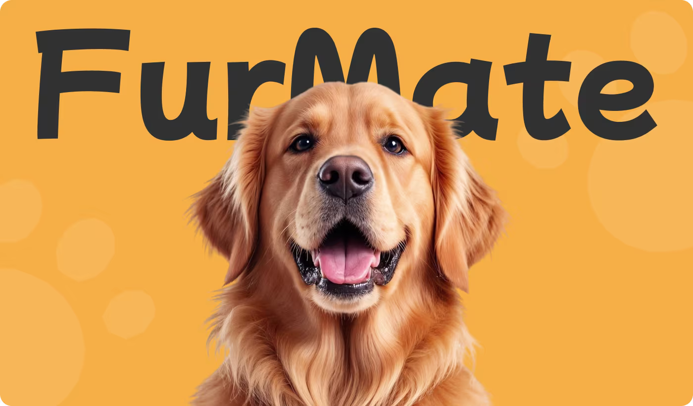 visual identity system designed for a pet food company