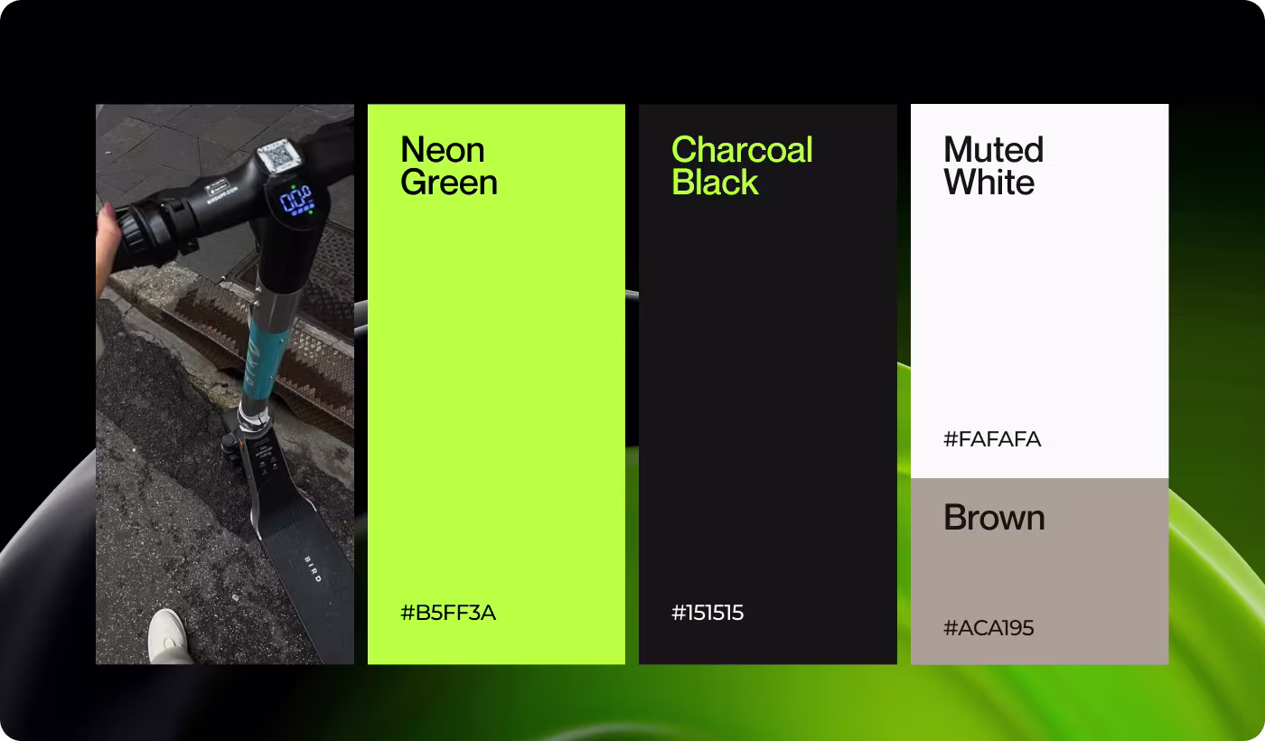 Zypo brand solution by OrbitVex. showing defined colors, typography, and layouts working together for confident presence